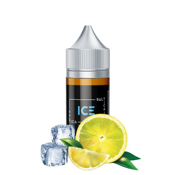 Saltica - Ice