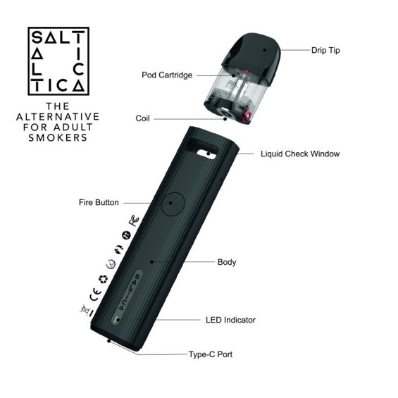 Saltica - G2