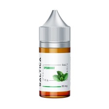 Saltica - Spearmint