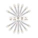 Saltica - White 3500