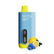 Saltica - Digital 12000