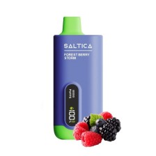 Saltica - Digital 12000