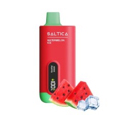Saltica - Digital 12000
