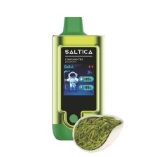 Saltica - Digital 20000