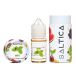 Saltica - Mint
