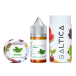 Saltica - Spearmint