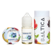 Saltica - Blueberry Ice