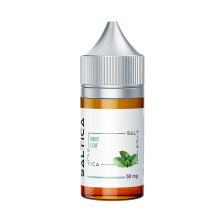 Saltica - Mint Leaf