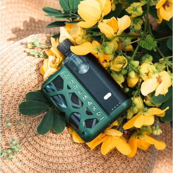 SXmini - PureMax Q