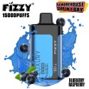 Fizzy Luxury 15000 Puff Blueberry Raspberry Tek Kullanımlık Elektronik Sigara