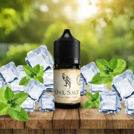 Owl Salt Buzlu Nane Aromalı Premium Salt Likit Şişesi